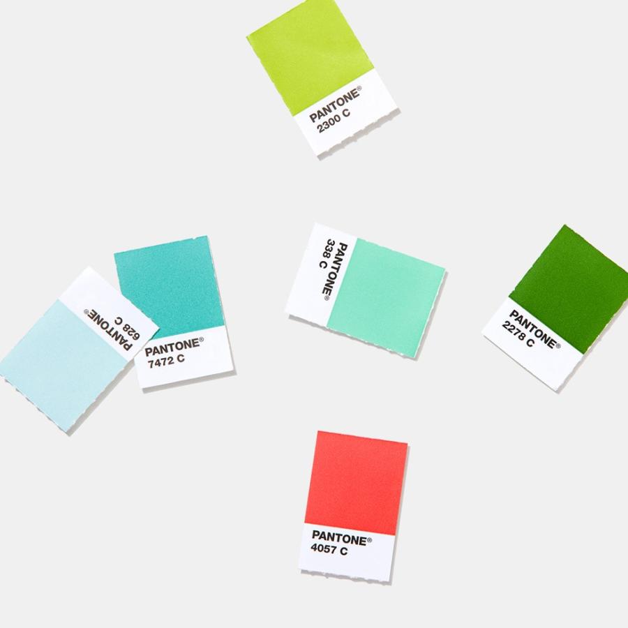 パントン 色見本 Pantone Plus ソリッドチップス 2冊組 コート紙 上質紙 Gp1606a 19年版 Gp1606 色見本のg E 通販 Yahoo ショッピング