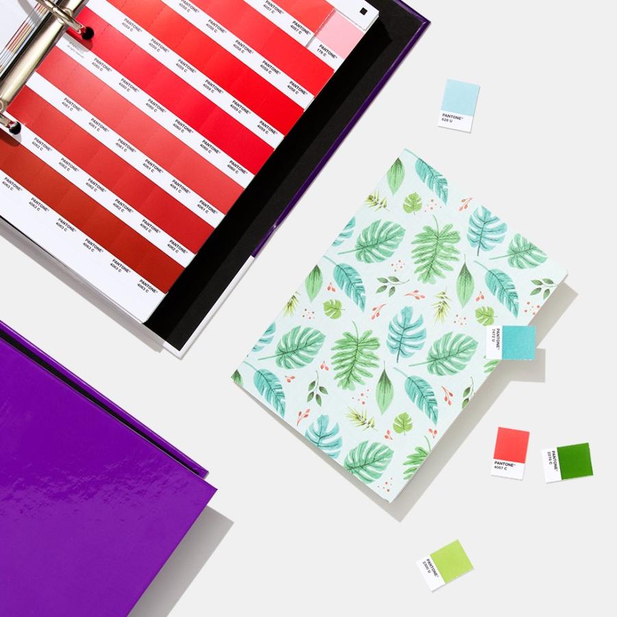 PANTONE パントン ソリッドチップス 2冊組 コート紙、上質紙 PANTONE パントン ソリッドチップス 2冊組 コート紙、上質紙