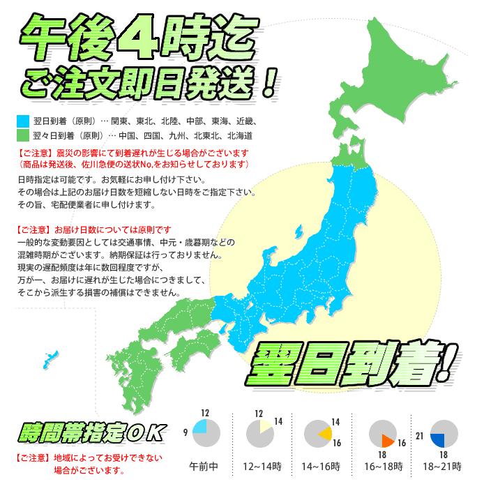 ごりっぱ年賀状3 干支 子｜dtp｜03