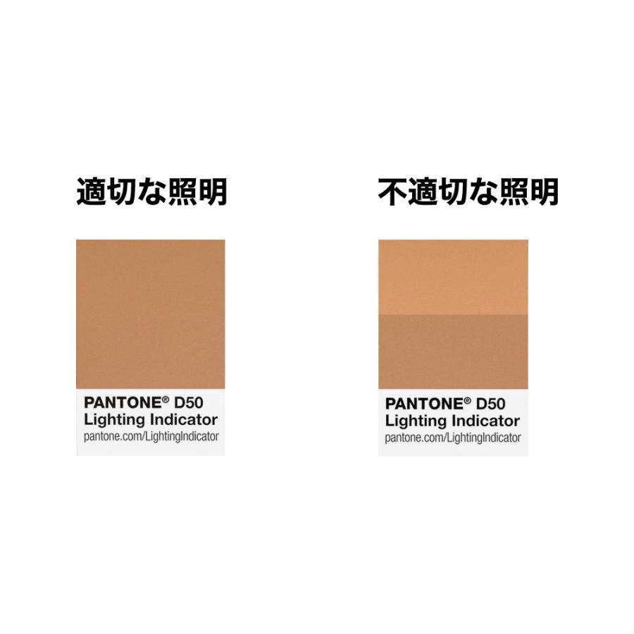 PANTONE（パントン） ライティング・インディケーター・ステッカー D50