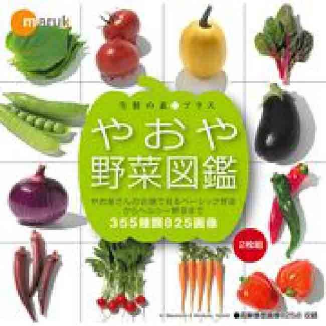 マルク 生鮮の素プラス やおや野菜図鑑 Mar Zukan001 色見本のg E 通販 Yahoo ショッピング