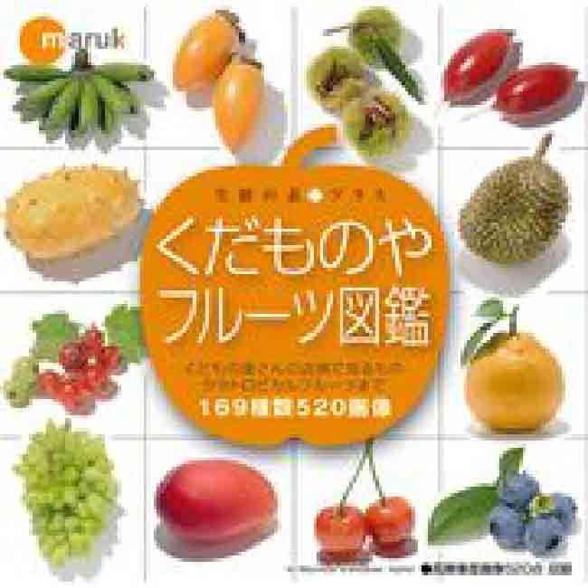 マルク 生鮮の素プラス くだものやフルーツ図鑑 爆買 : 色見本のG&E