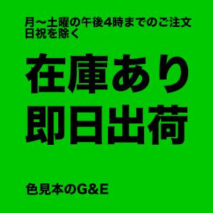 PANTONE（パントン） ソリッドチップス コート紙 ページ5C 色番号 106C