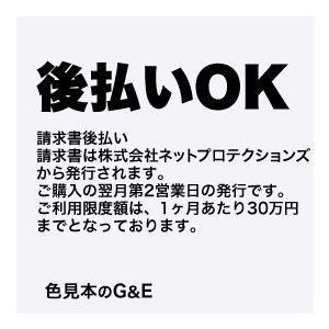 PANTONE（パントン） カラースペシファイヤー ページ 1.120 色番号 14