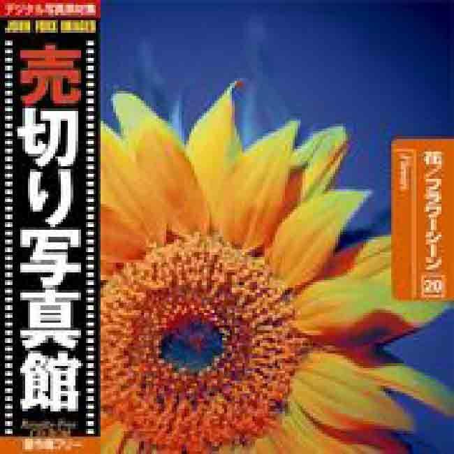 売切り写真館 JFI 020 花 フラワーシーン Flowers 売切り写真館 JFI 020 花 フラワーシーン Flowers