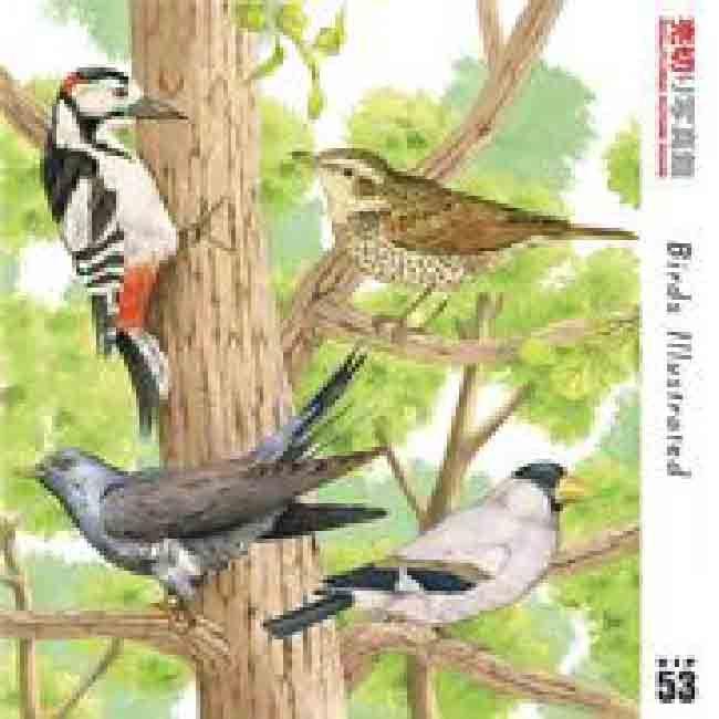 売切り写真館 VIP 053 世界の鳥 世界の鳥 一覧