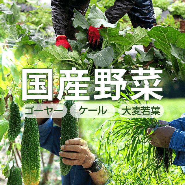 青汁三昧3箱　　　　青汁 国産 大麦若葉 ケール ゴーヤー 飲みやすい おいしい 安心 健康食品 抹茶味 ビタミン テレビ CM｜dts｜02