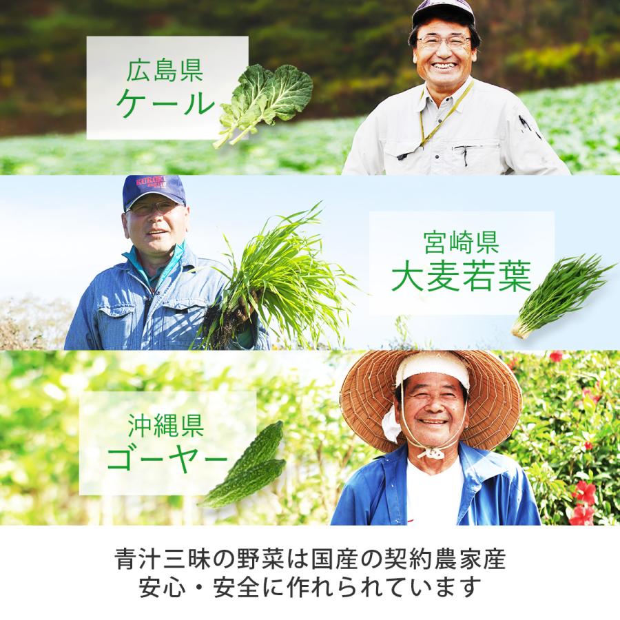 青汁三昧 青汁三昧3箱 青汁 国産 大麦若葉 ケール ゴーヤー 飲みやすい