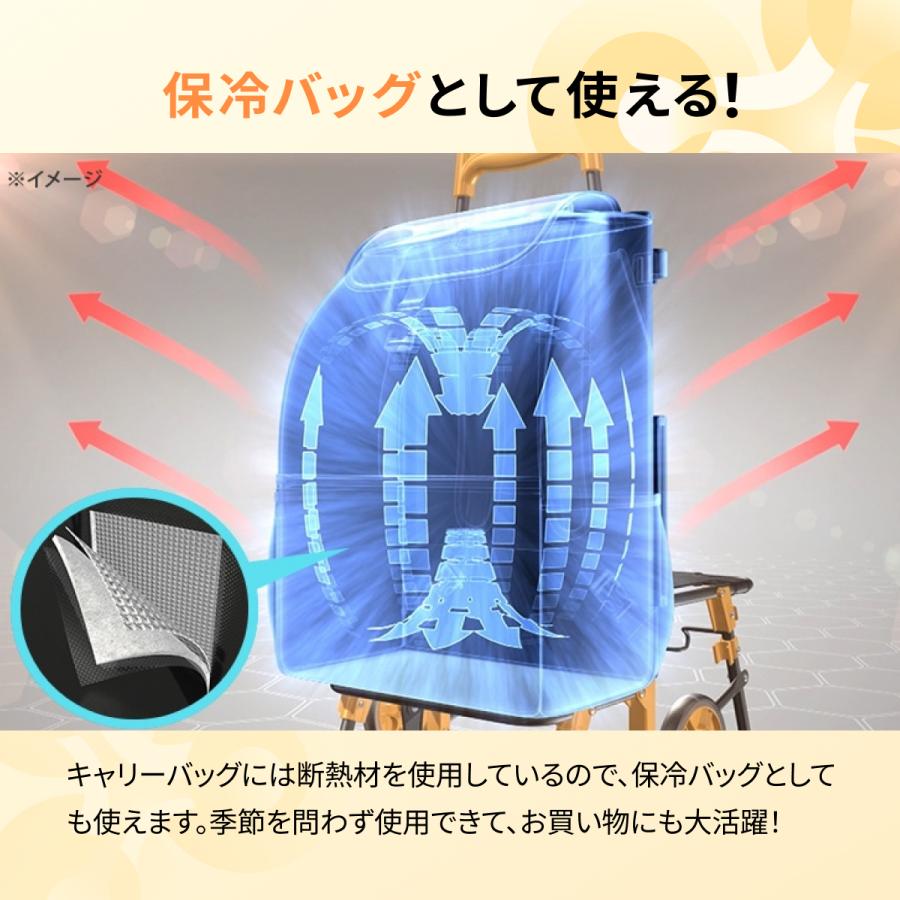 イージーカート ショッピングカート 椅子 イス 買い物 散歩 アウトドア