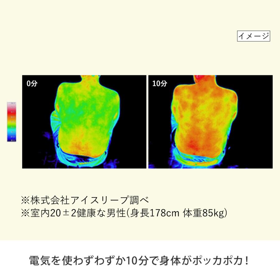 ひな暖ラグ 3畳 　　　　 ひな暖 ひなだん ひな壇 ラグ 3畳 発熱わた 保温わた 保温 電気不使用 カーペット 滑り止め すべり止め アルミシート_3