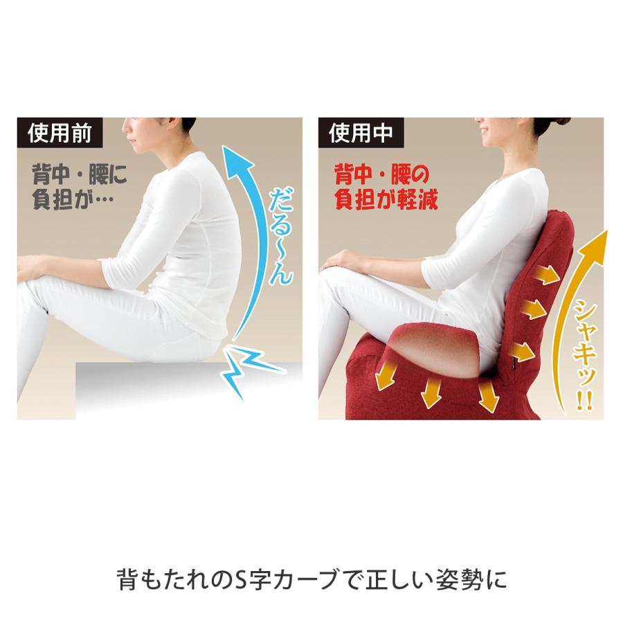 美姿勢習慣くつろぎプレミアム 美姿勢習慣くつろぎプレミアム : ダイレクトテレショップ - 通販