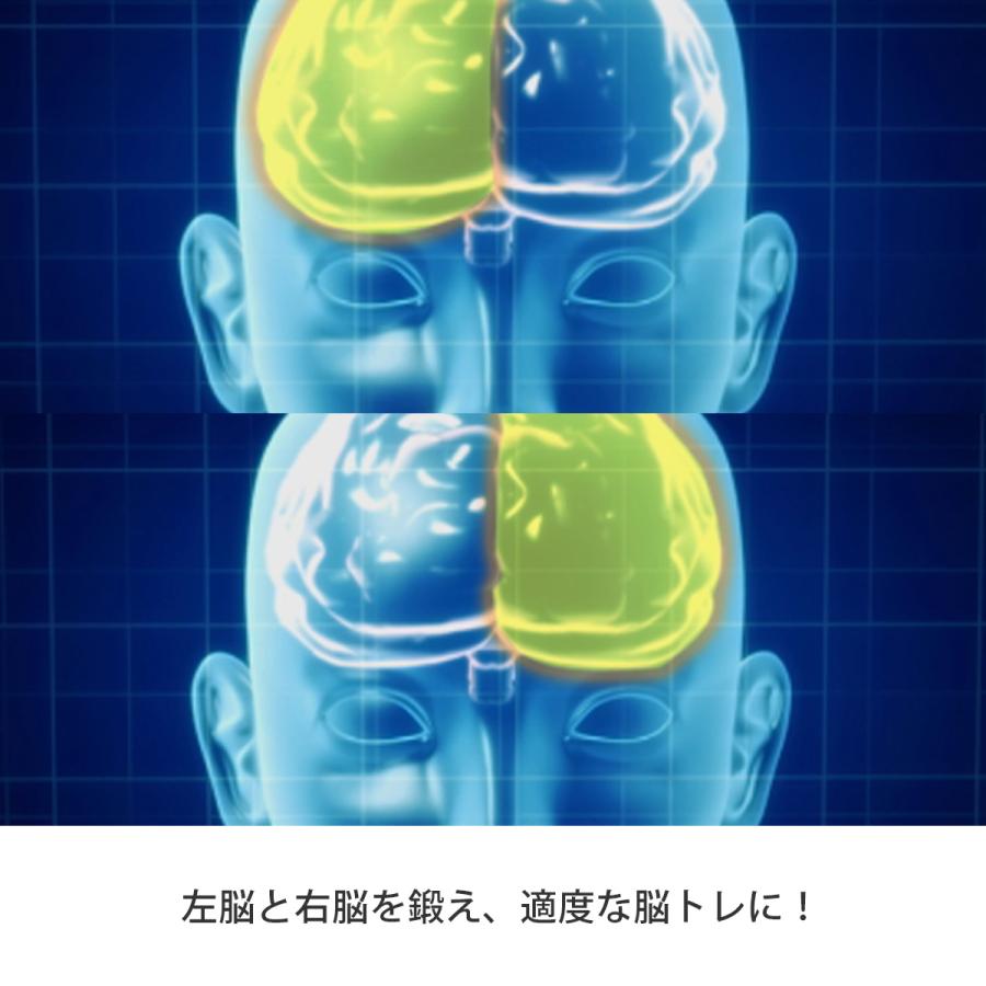 脳遊記 頭の体操 脳トレ 脳のトレーニング 脳活グッズ 麻雀 将棋 囲碁