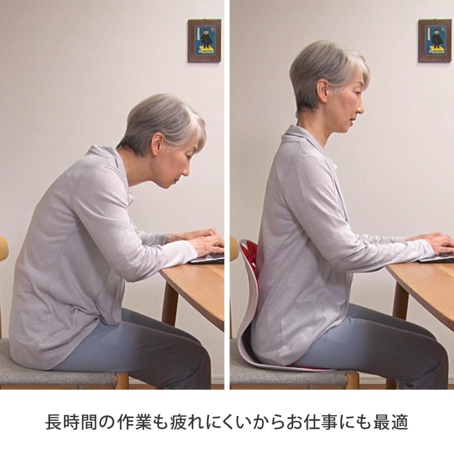 ピン セスジ＋ハリケーンファーウイザード携帯用ブラシ 椅子