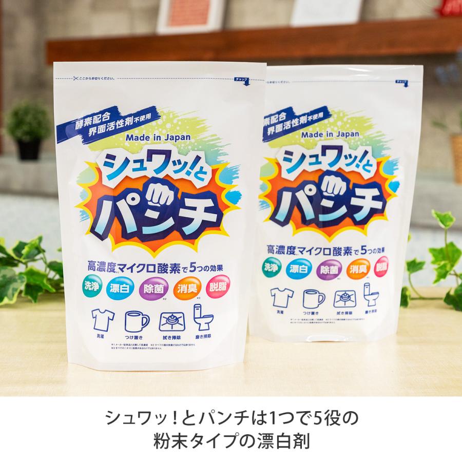 スライムパンチ＋シュワッ！とパンチセット 洗浄 脱脂 除菌 漂白 消臭