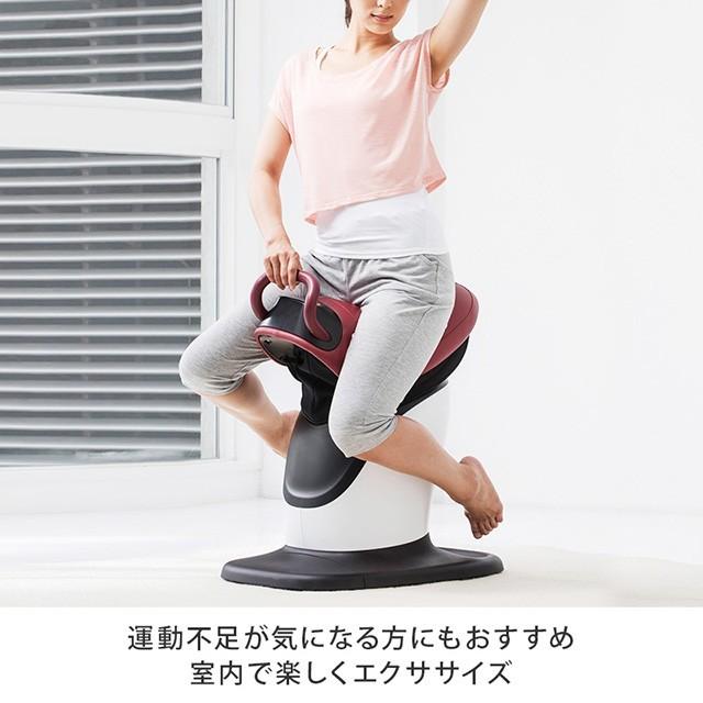 ロデオボーイ FD-017　　　　THRIVE スライヴ 振動 マシン ながらトレーニング ながら運動 運動 フィットネス ダイエット【po】 ロデオボーイ FD 商品情報