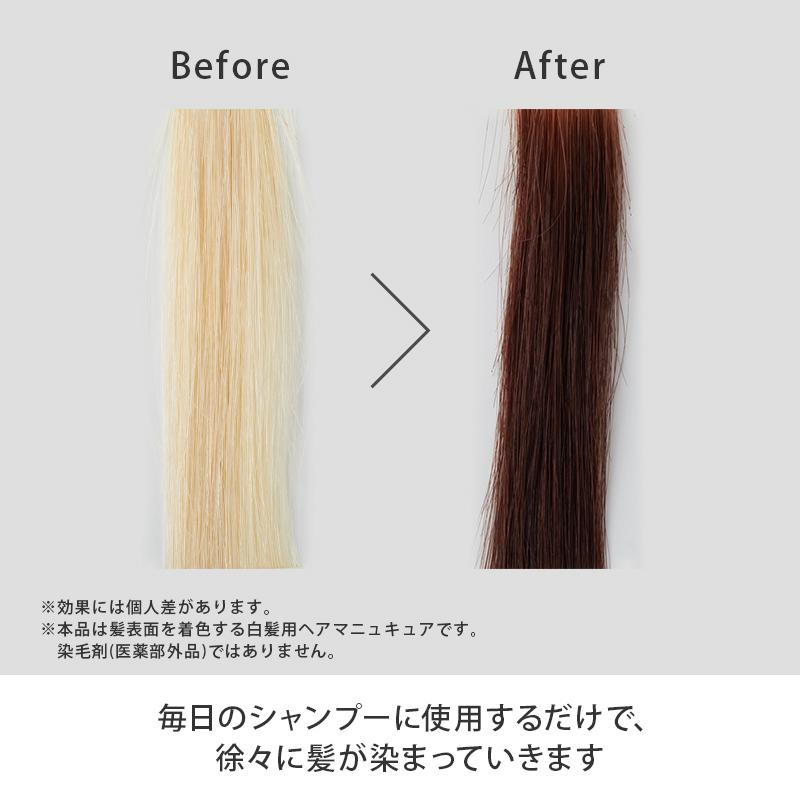 ターナリー T ブリリアントカラーシャンプー 白髪 シャンプー カラーシャンプー ケア 髪 ツヤ ヘアカラー 茶色 ブラウン ダイレクトテレショップ 通販 Paypayモール