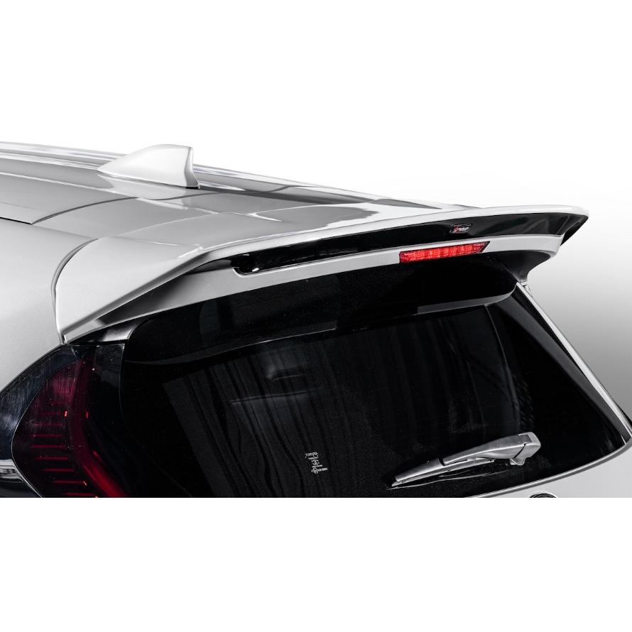 シルクブレイズ アクア GR SPORT MXPK11 リアウイング Ver-2(TSR11AQ