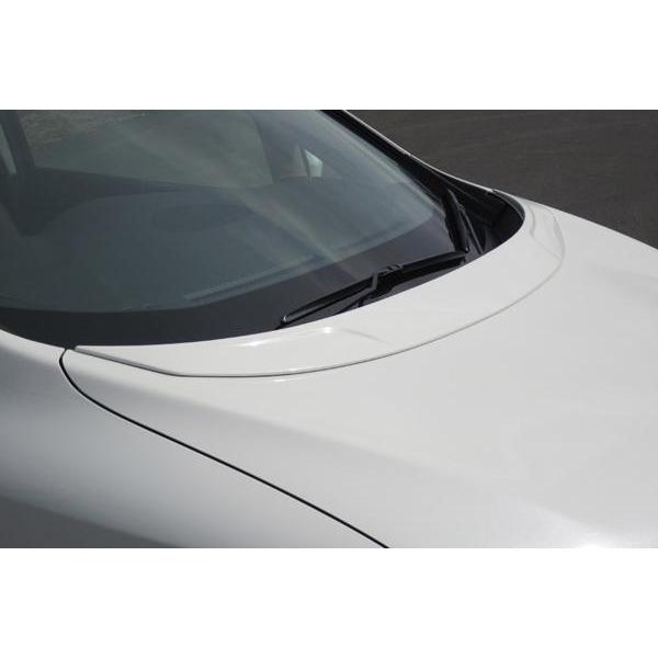 ケンスタイル エルグランド ハイウェイスター E52 前期 ボンネット
