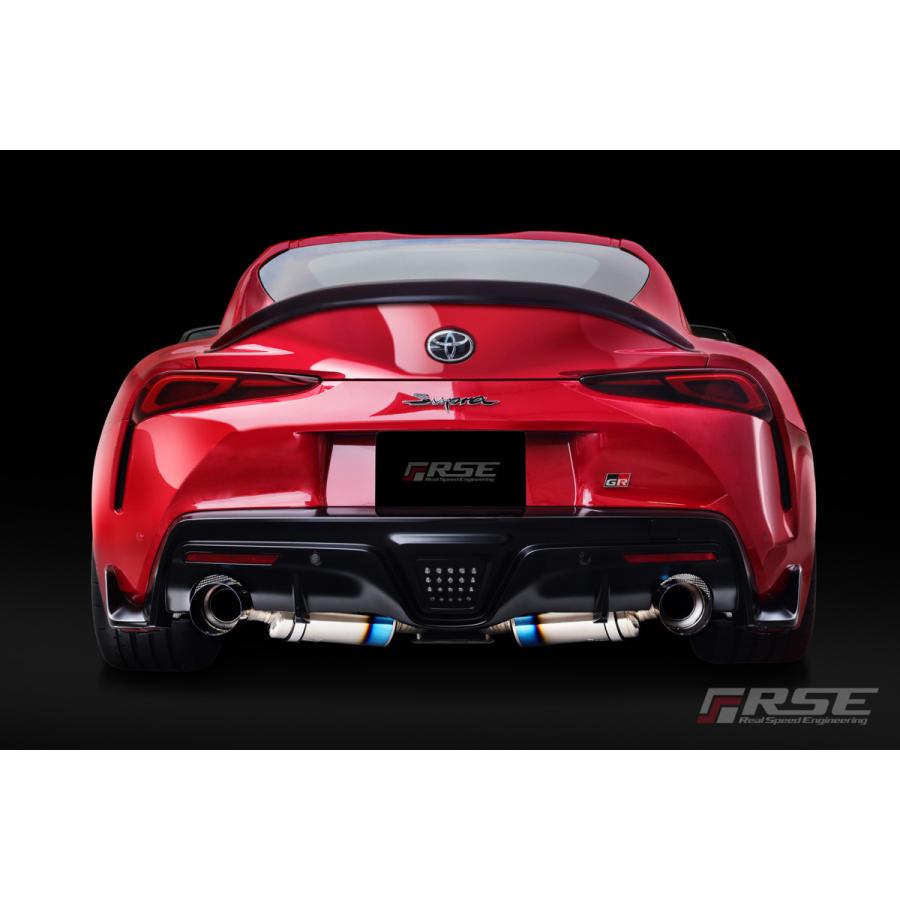 リアルスピードエンジニアリング フルチタンマフラー TYPE-D GR