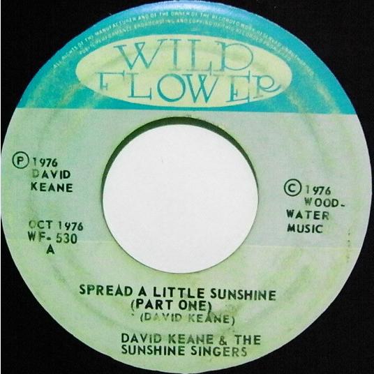 ジャマイカ7” David Keane & The Sunshine Sin Spread A Little Sunshine WF530 Wild Flower /00080