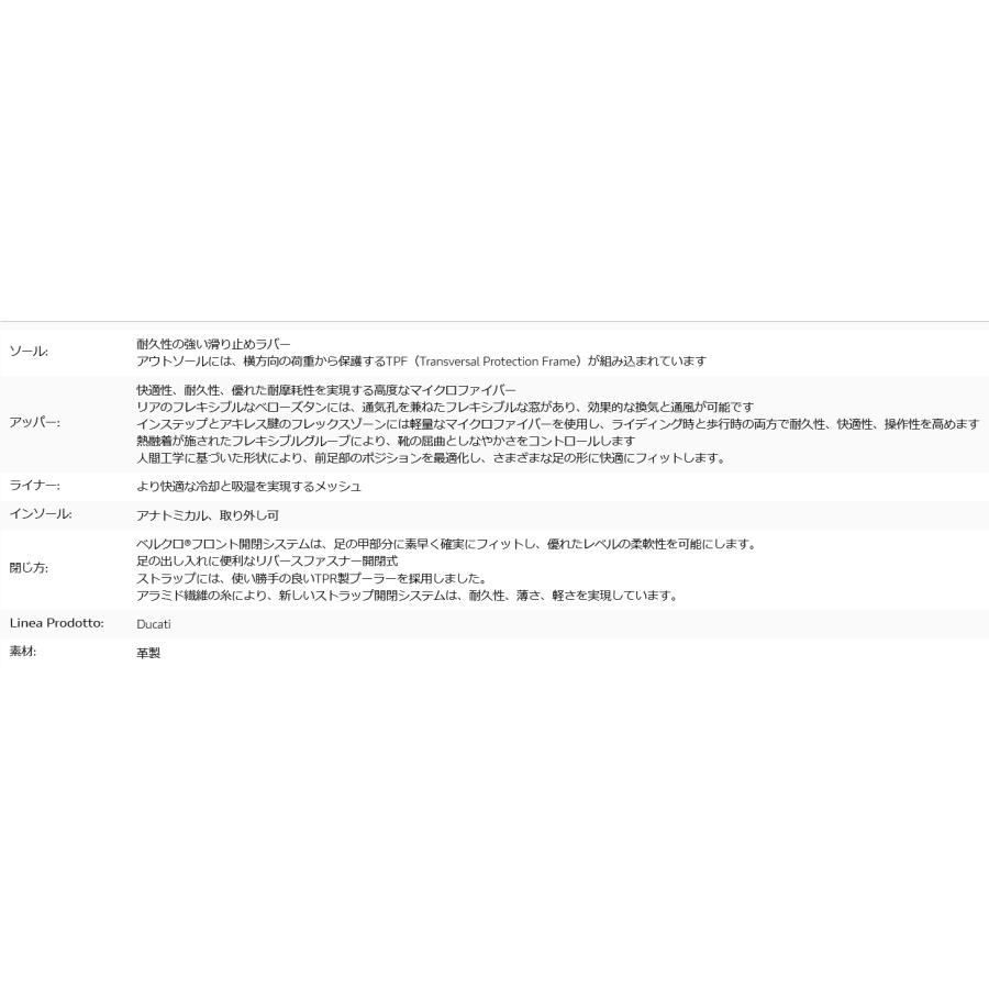 DUCATI（ドゥカティ） ☆Theme C2 低テクニカルブーツ サイズ40