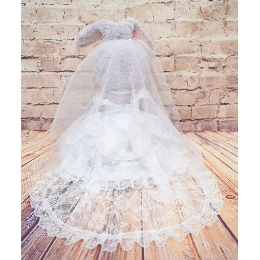 Disney（ディズニー） ジェラトーニ＆ステラルー コスチューム