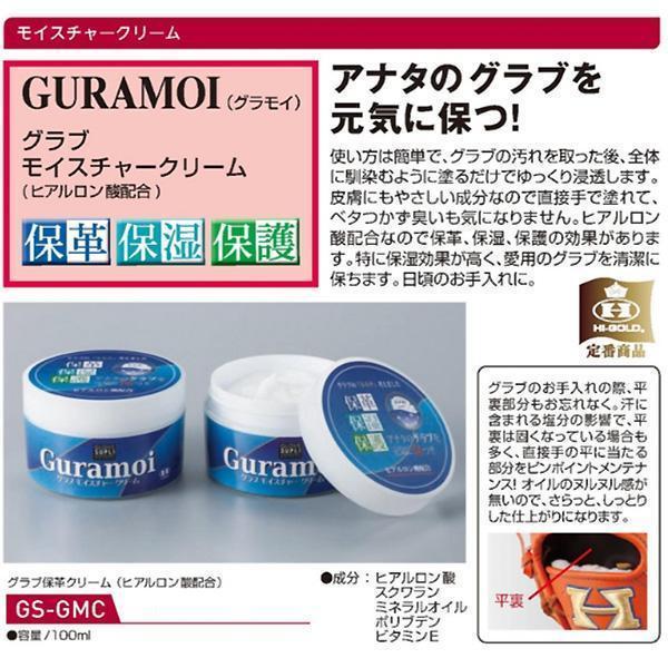 HI-GOLD（ハイゴールド） グラブお手入れセット マルチクリーナー (OL