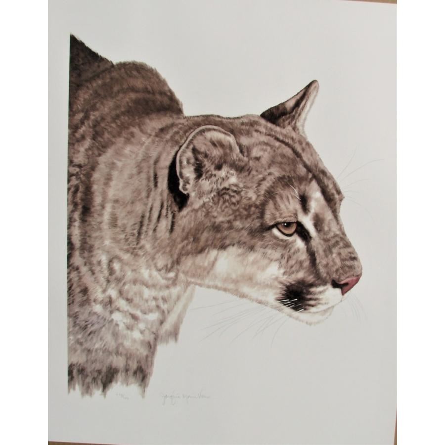 ジャッキーマリーヴォーグ「リクライニングタイガー」オフセットリトグラフ,完売目 ジャッキーマリーヴォーグ「リクライニングタイガー」オフセット