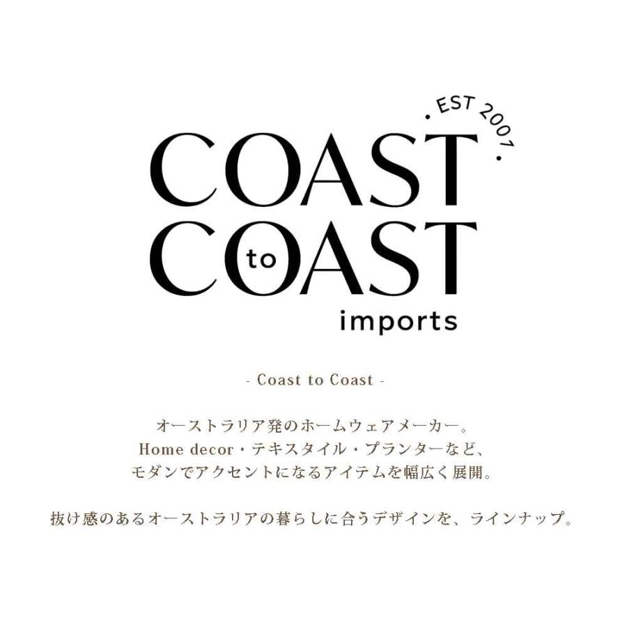 ピッチャー 水差し ジャグ ポット セラミック ホワイト 白 陶器