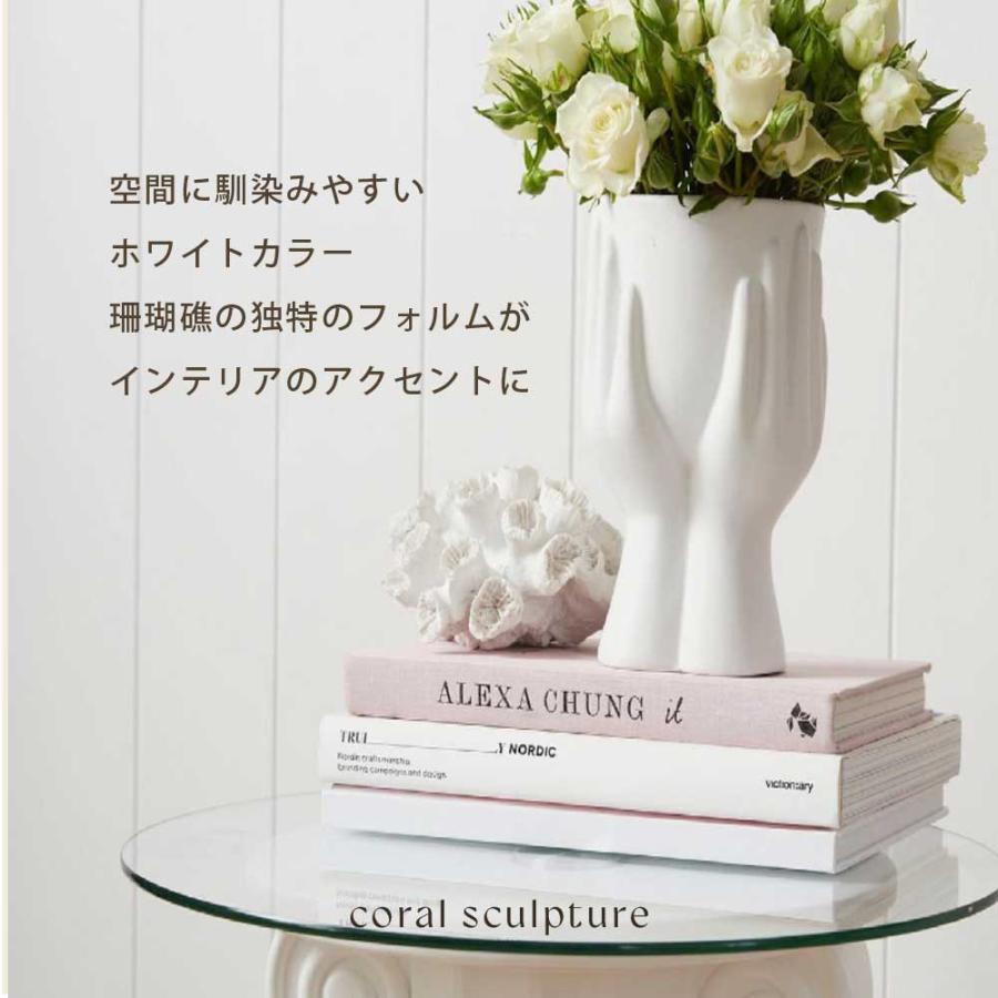 珊瑚 サンゴ オブジェ 置物 スカルプチャー レジン 樹脂 海 ビーチ 