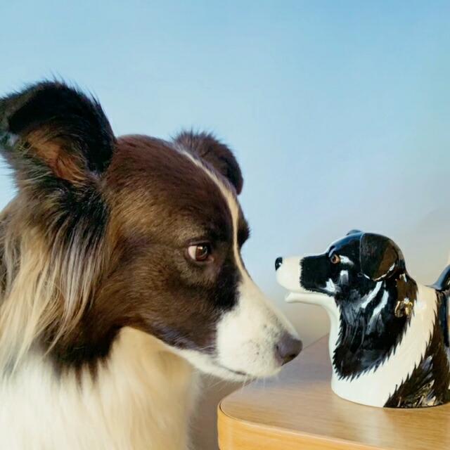 ジャグ 花瓶 ボーダーコリー 犬 Border Collie Jug プレゼント ク 