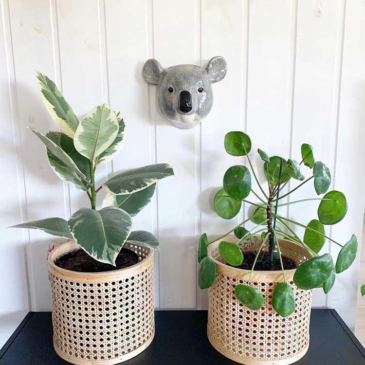 壁掛け 花瓶 コアラ Koala Wall Vase プレゼント クエイルセラミックス