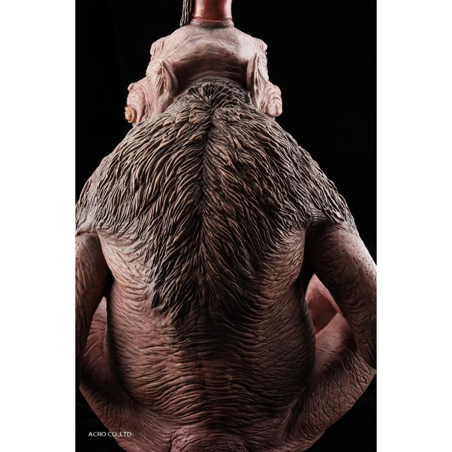 KRS D.M ハヌマーン |  | 11