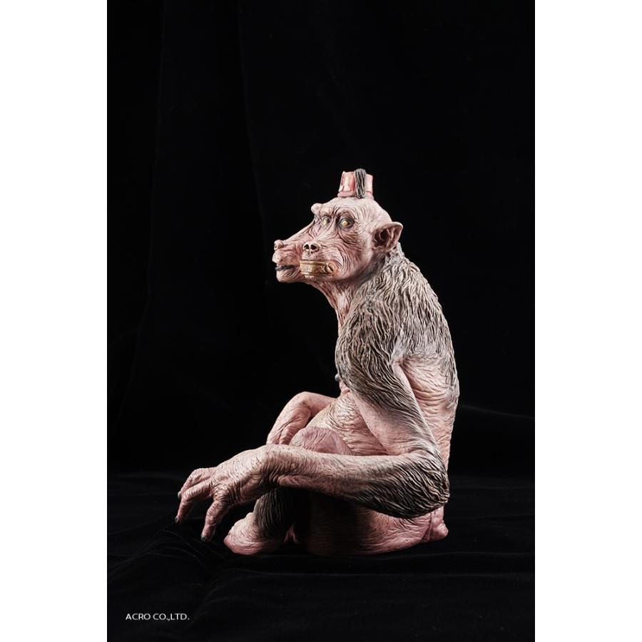 KRS D.M ハヌマーン |  | 02