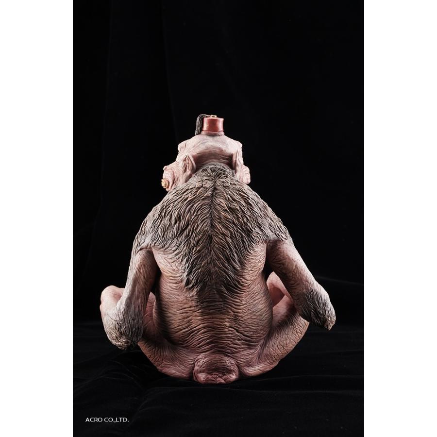 KRS D.M ハヌマーン |  | 04