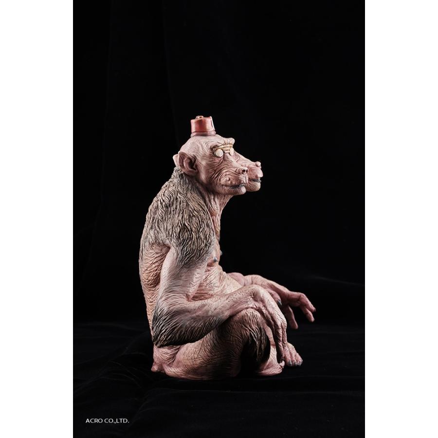 KRS D.M ハヌマーン |  | 06