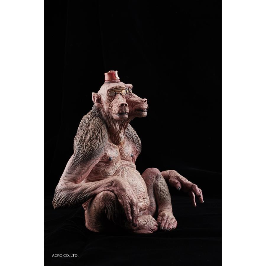 KRS D.M ハヌマーン |  | 07