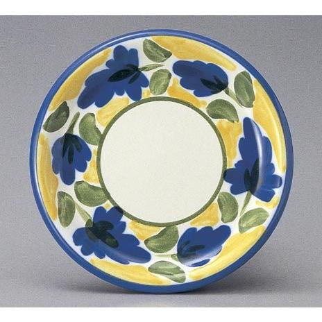 カンパーニャ 28cmピザスパゲティ皿 : 美濃のちゃわん屋さん 古林恩羅