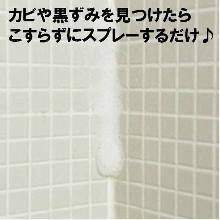 ダスキン カビ ぬめり取り剤 スプレーなし かび取り剤 カビ カビキラー カビ掃除 カビ除去 浴室 排水溝 キッチン用洗剤 浴室用洗剤 掃除 Kentd ダスキン便利グッズのダスぴゅあ 通販 Yahoo ショッピング