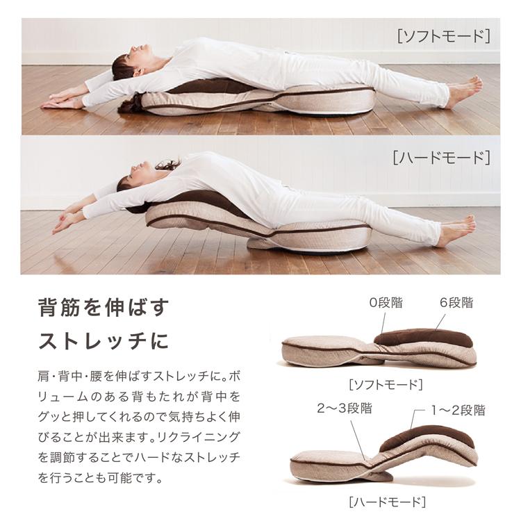 背筋がGUUUN 美姿勢座椅子 エグゼボート ドリーム 背筋がGUUUN エグゼボート 美姿勢座椅子 座椅子 ざいす