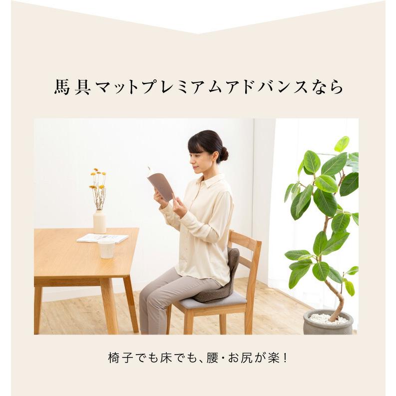 馬具マットプレミアムアドバンス 座椅子 鞍 腰痛 美姿勢 姿勢 骨盤