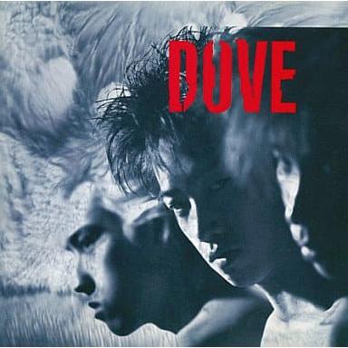 DOVE / ダヴ CD 邦楽 : ディスクプラス - 通販 - Yahoo!ショッピング