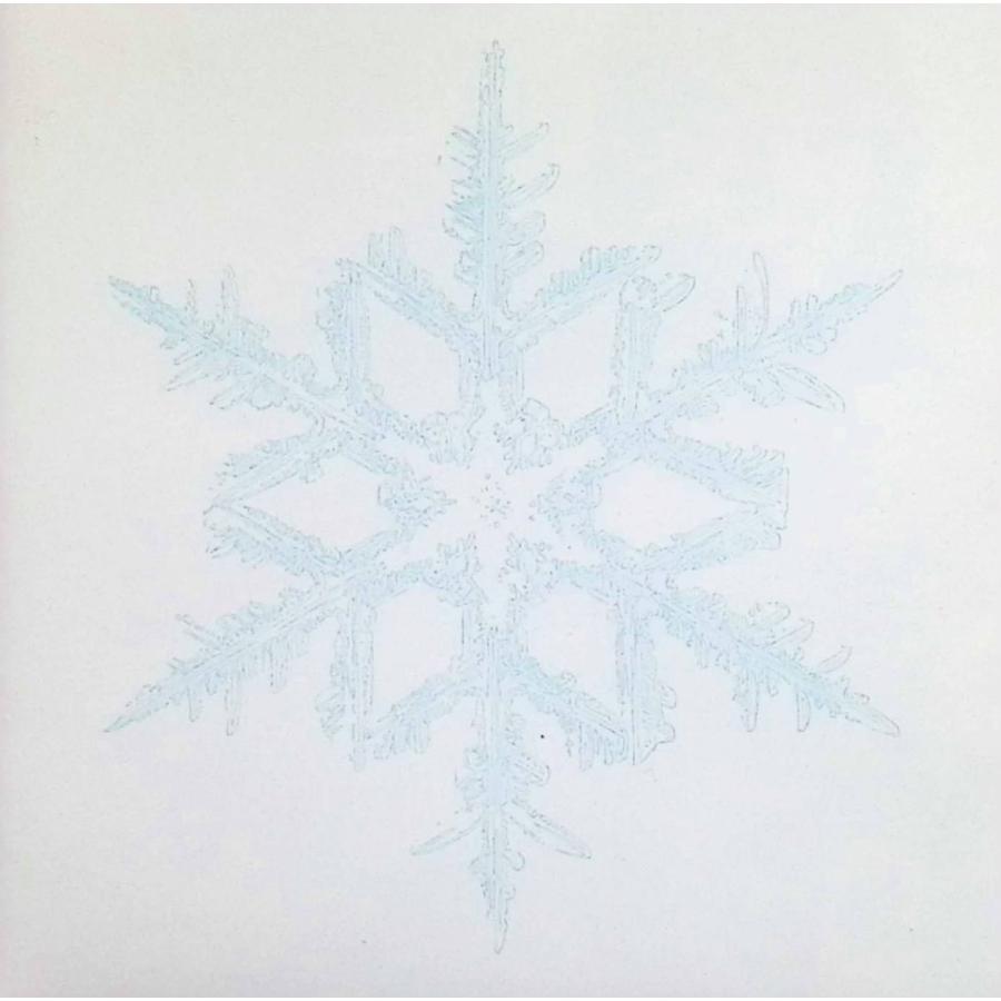 BUMP OF CHICKEN サイン入りCD スノースマイル スノースマイル / BUMP OF CHICKEN CD 邦楽 : ディスクプラス - 通販