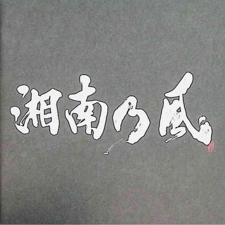 湘南乃風~ラガパレード~ / 湘南乃風 CD 邦楽 : ディスクプラス
