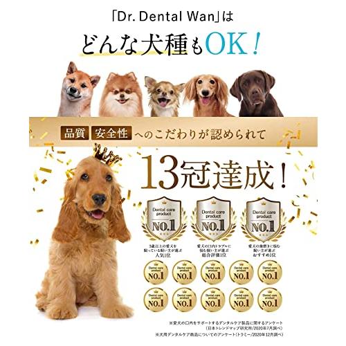 【ドクターデンタルワン】犬 歯磨き 犬 歯磨きジェル 犬用 歯磨きジェル 犬はみがき Dr. Dental Wan 30g (単品)｜dw-bestselectshop｜02