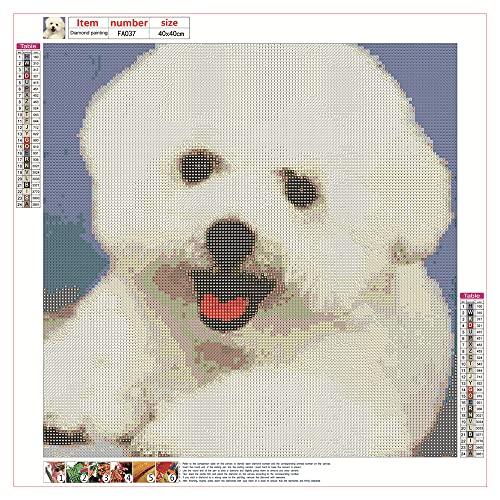 ダイヤモンドアート 四角いビーズ 全面 40x40cm 白い犬 可愛い ダイヤモンドペインティング 全面貼り付けタイプ 5d ダイヤモンドアート モザ｜dw-bestselectshop｜02