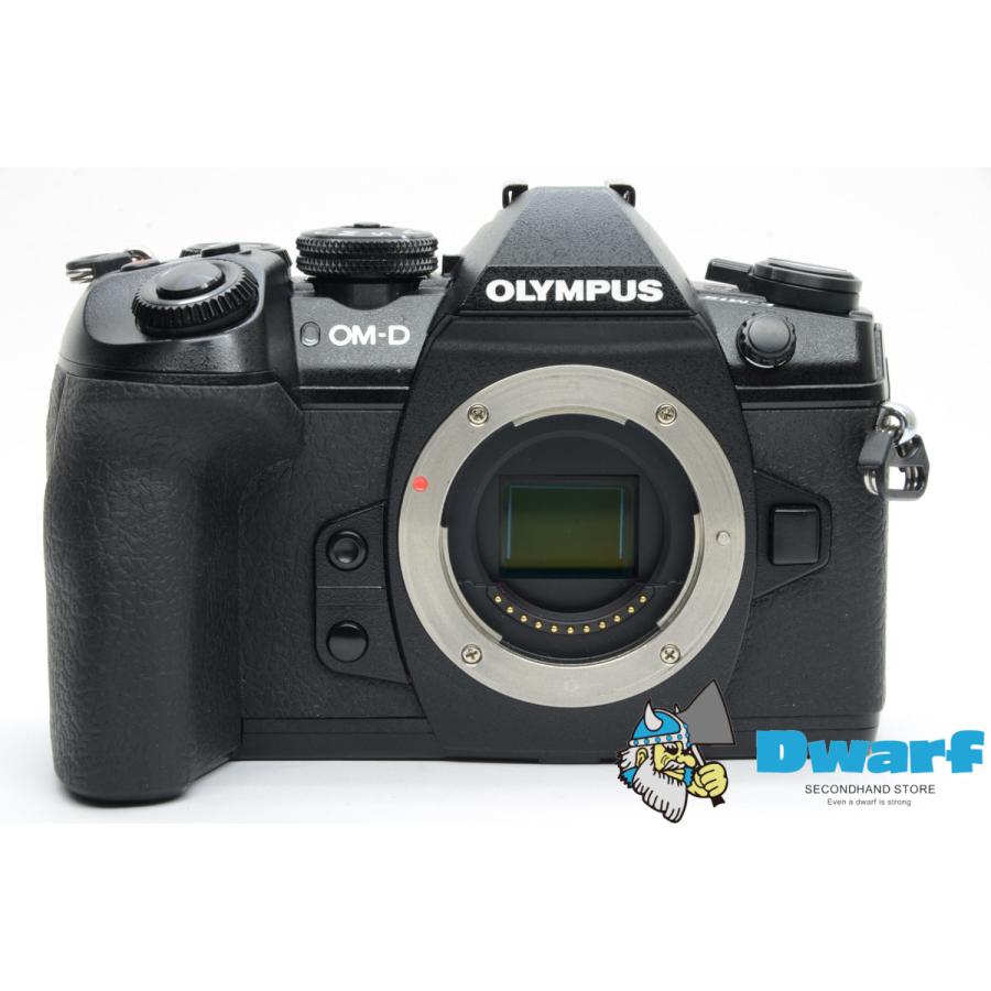 お買い得 オリンパス Olympus Om D E M1 Mark Ii Body デジタルミラーレス一眼レフカメラ Wantannas Go Id