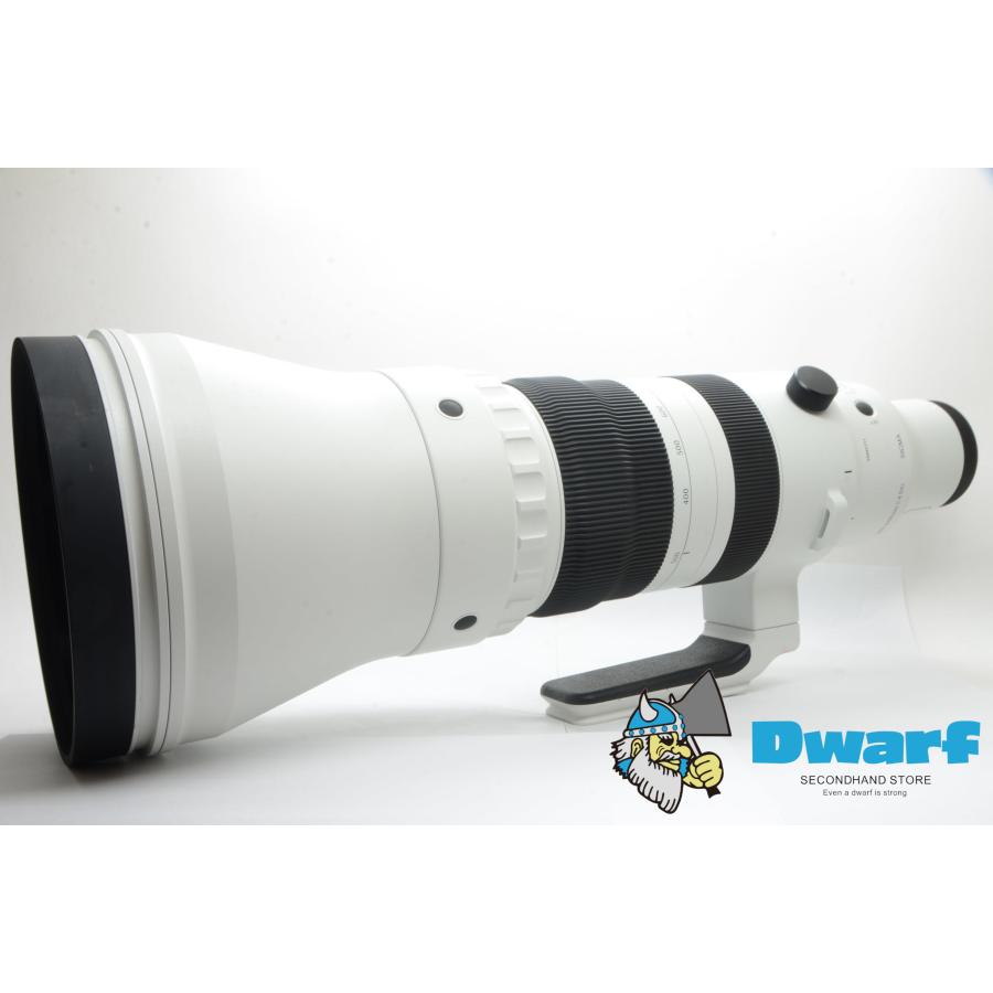 シグマ SIGMA 300-600mm F4 DG OS SPORTS ライカLマウント レンズ | 