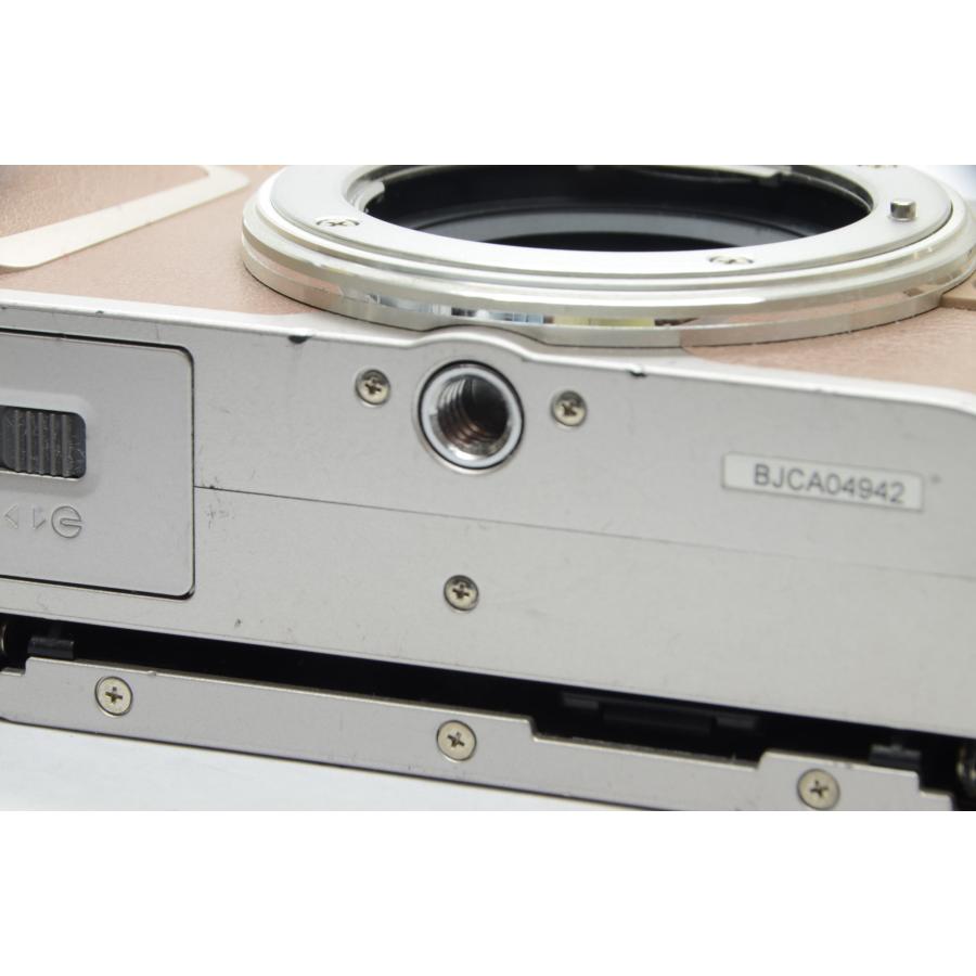 OLYMPUS PEN オリンパス E-PL10 ブラウン EZ ダブルズームキット