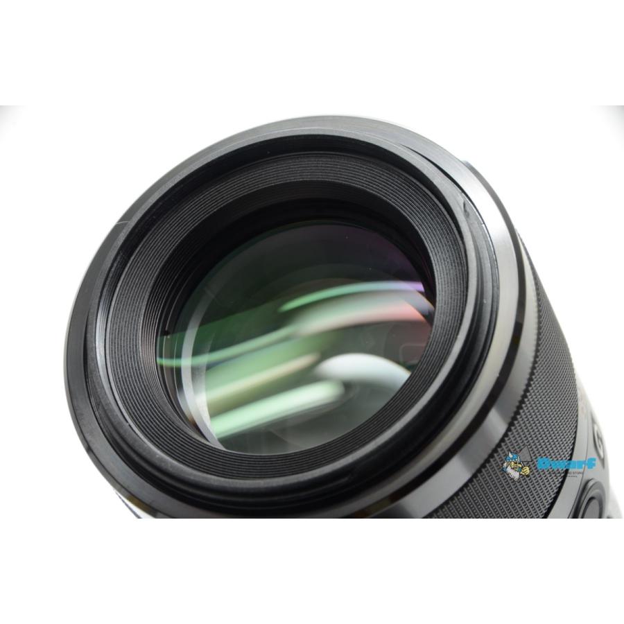 ソニー SONY FE 90mm F2.8 MACRO G OSS E-mount Lens SEL90M28G | SONY | 10